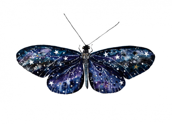 Nika - Butterfly - art contemporain