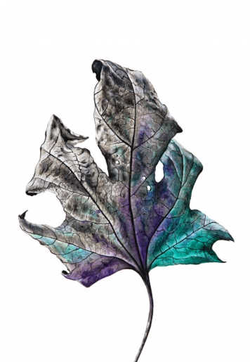 Nika - Leaf - art contemporain