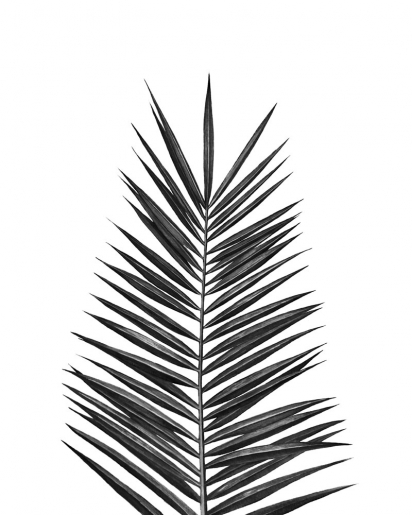 Nika - Palm Leaf - art contemporain