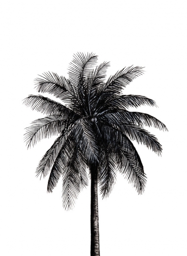 Nika - Palm Tree - art contemporain